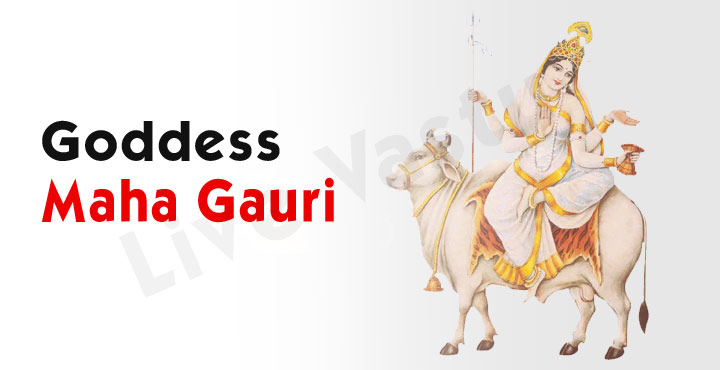 Worship Goddess Maha Gauri on the 8th day of Navaratri