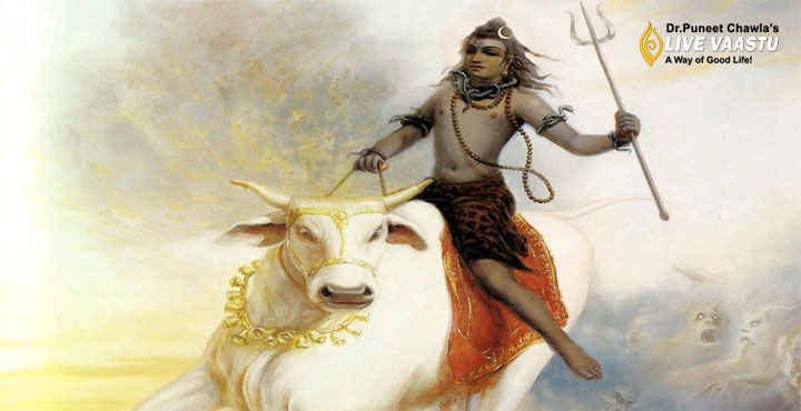 Nandi -The bull  is the trusted steed of Lord Shiva