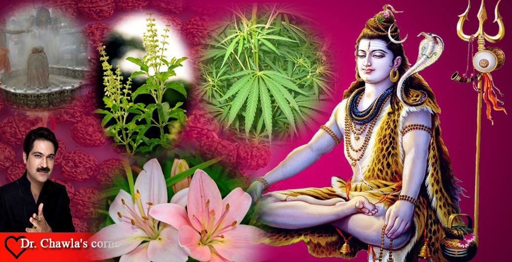 What Shiva Likes in Terms of Offerings