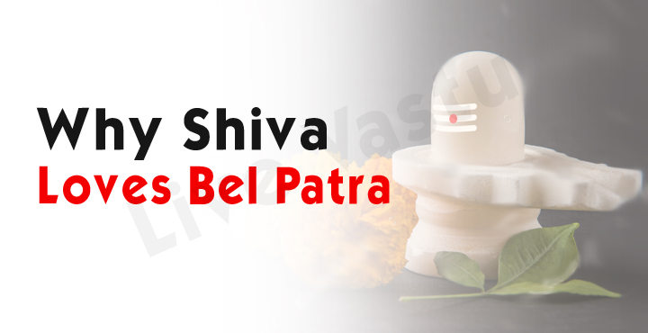 why shiva loves bel patra