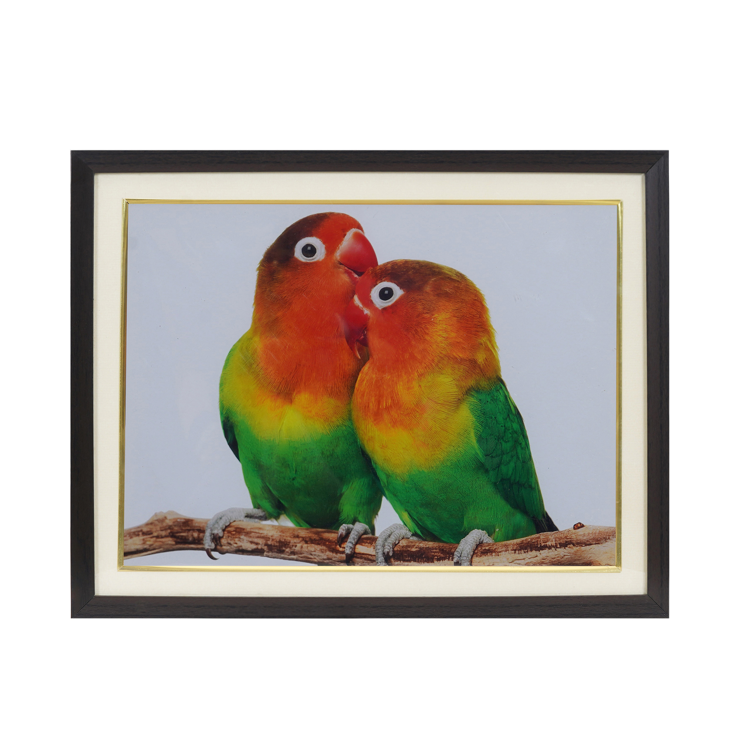 Parrot Couple For Relationship