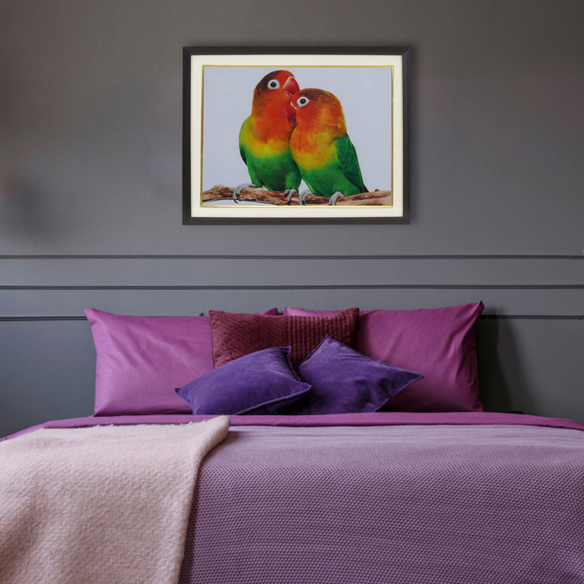 Parrot Couple For Relationship