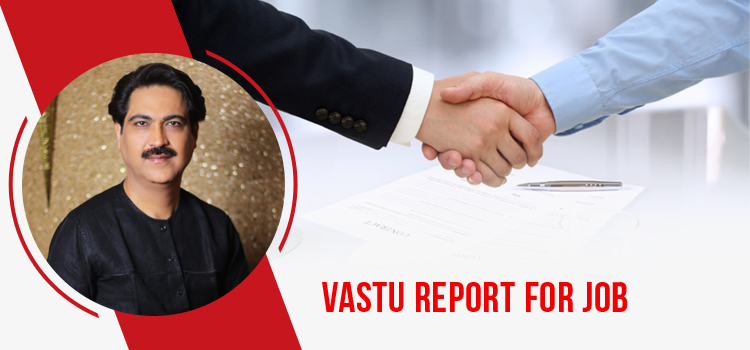 Vastu report for job